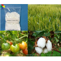 PanPan plant hormone supplier PGR cycocel chlormequat ccc 98%tc